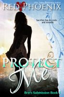 Substance B Cover of Protect Me (Brie’s Submission #5)